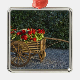 Italy, Tuscany. Red geraniums spill out of an Metal Ornament