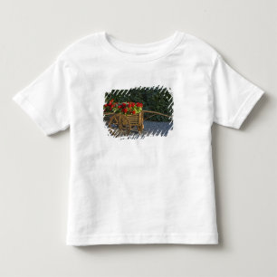 Italy, Tuscany. Red geraniums spill out of an Toddler T-shirt