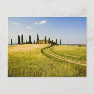 Italy, Tuscany, Tuscan Villa nearing Harvest. Postcard