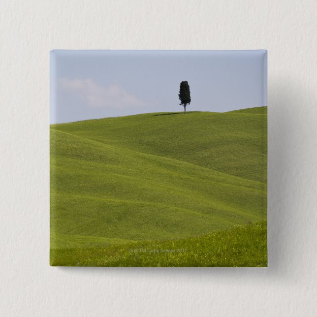 Italy, Tuscany, Val D'Orcia, Lone tree on hill 2 Inch Square Button (Front)