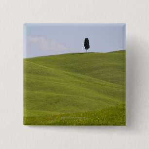 Italy, Tuscany, Val D'Orcia, Lone tree on hill 2 Inch Square Button