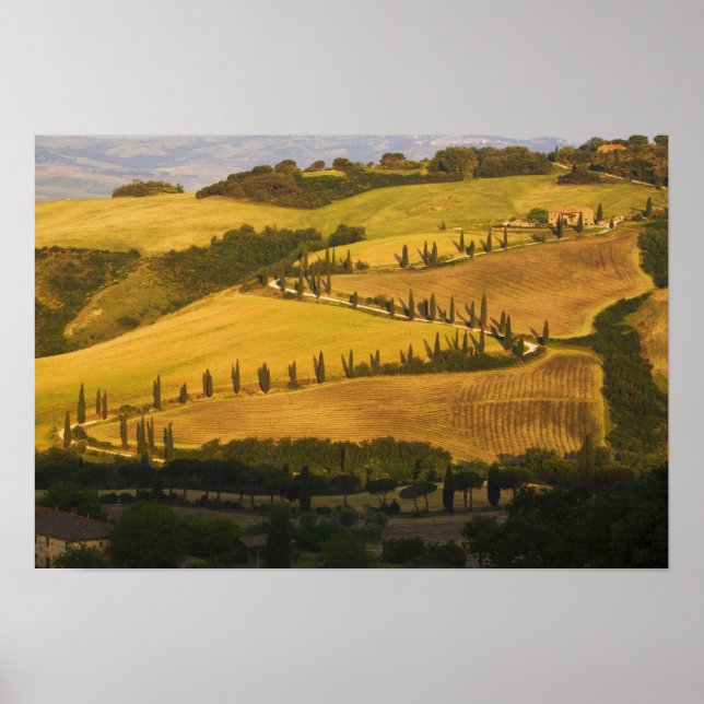 Italy, Tuscany, ZigZag Road in Tuscany. Poster (Front)