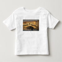 Italy, Veneto, Venice, Canal Grande and Rialto