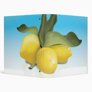 Italy vintage travel poster binder