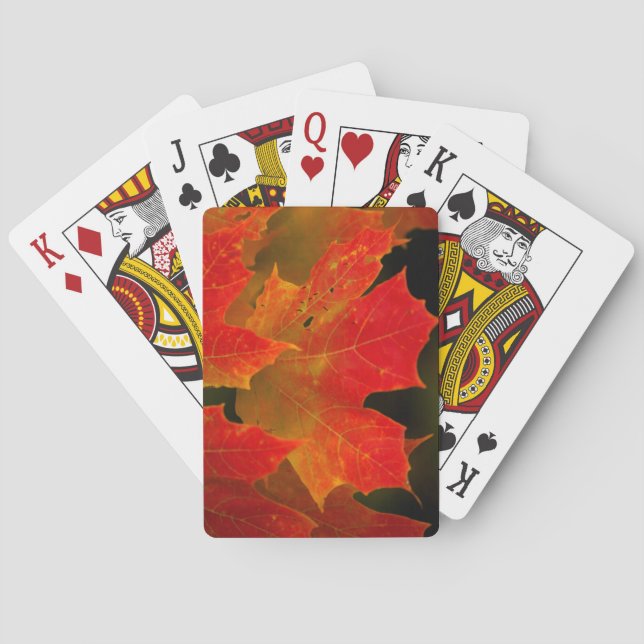 Itasca State Park, Fall Colors 2 Playing Cards (Back)