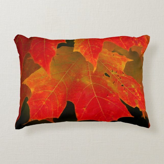 Itasca State Park, Fall Colours 2 Accent Pillow (Front)