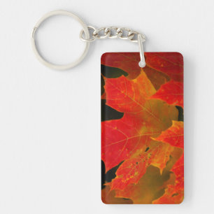 Itasca State Park, Fall Colours 2 Keychain