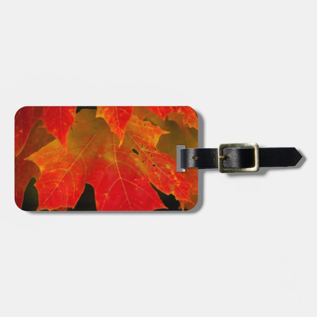 Itasca State Park, Fall Colours 2 Luggage Tag (Front Horizontal)