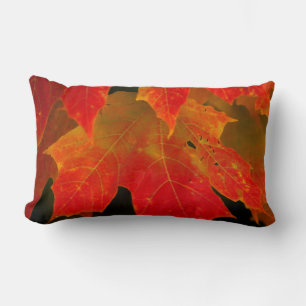Itasca State Park, Fall Colours 2 Lumbar Pillow
