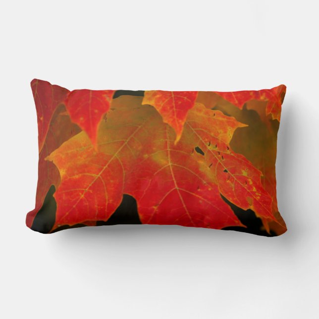 Itasca State Park, Fall Colours 2 Lumbar Pillow (Front)