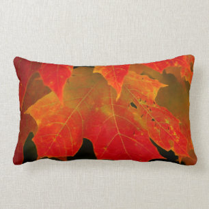 Itasca State Park, Fall Colours 2 Lumbar Pillow
