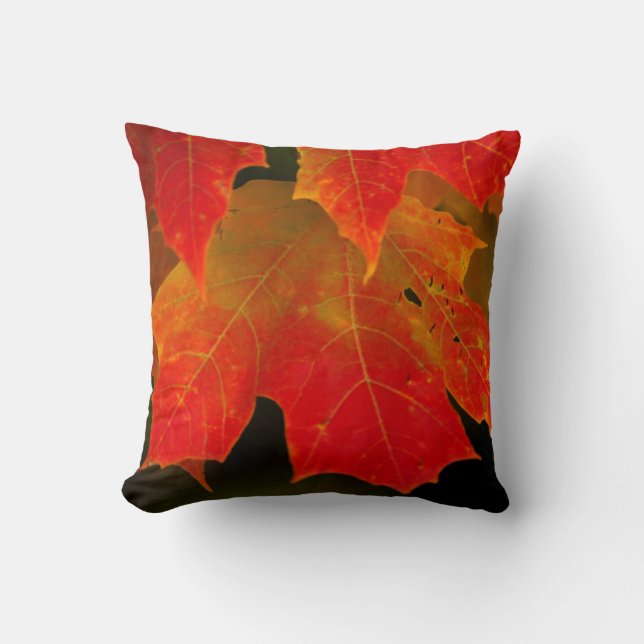Itasca State Park, Fall Colours 2 Throw Pillow (Front)