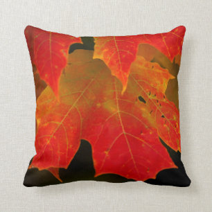 Itasca State Park, Fall Colours 2 Throw Pillow