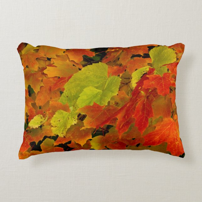 Itasca State Park, Fall Colours Decorative Pillow (Front)