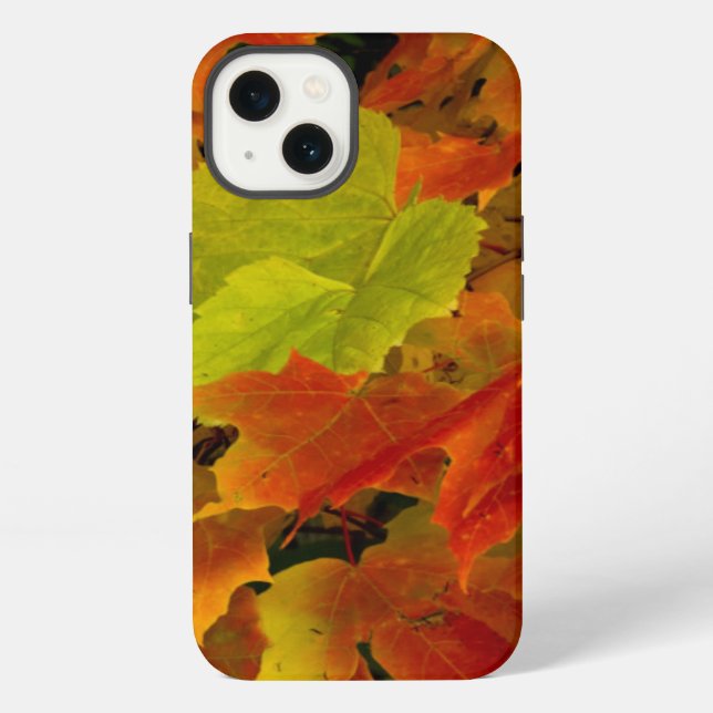 Itasca State Park, Fall Colours iPhone Case (Back)