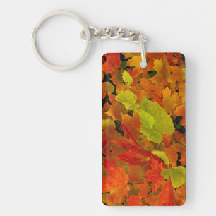 Itasca State Park, Fall Colours Keychain