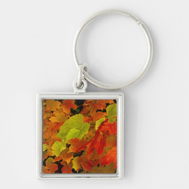 Itasca State Park, Fall Colours Keychain (Front)