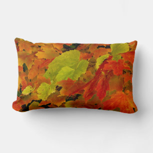 Itasca State Park, Fall Colours Lumbar Pillow