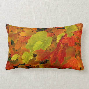 Itasca State Park, Fall Colours Lumbar Pillow