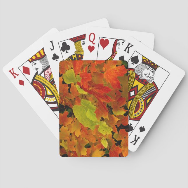 Itasca State Park, Fall Colours Playing Cards (Back)