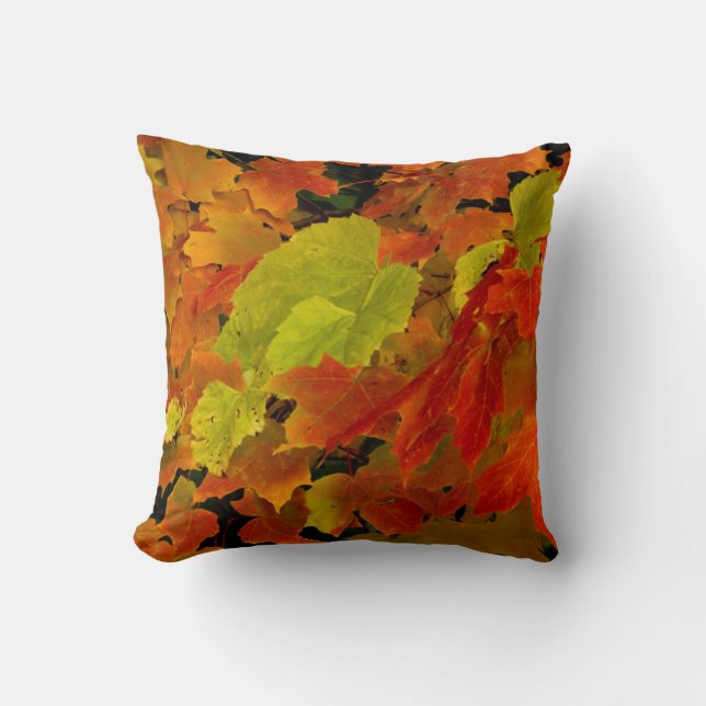 Itasca State Park, Fall Colours Throw Pillow (Front)