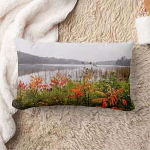 Itasca State Park   Minnesota Lumbar Pillow