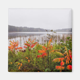 Itasca State Park   Minnesota Magnet