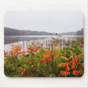 Itasca State Park Minnesota Mouse Pad