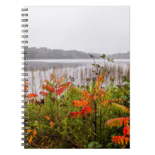 Itasca State Park Minnesota Notebook