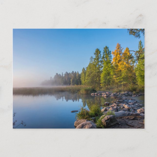 Itasca State Park, Minnesota Postcard (Front)