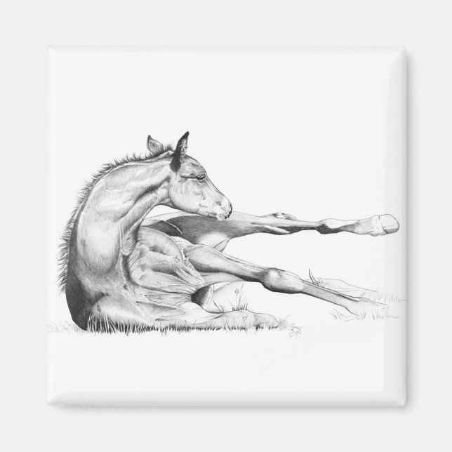 Itch Too Magnet (Front)