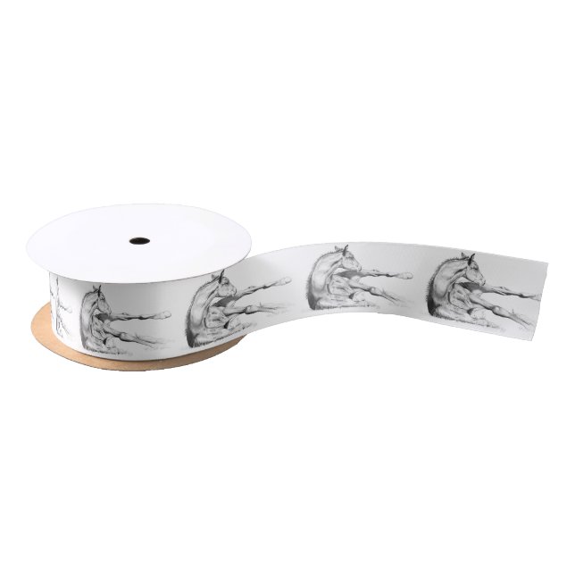 Itch Too Satin Ribbon (Spool)