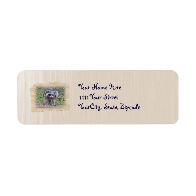 Itchin' & Scratchin' Raccoon (Front)