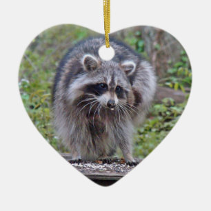 Itchin' & Scratchin' Raccoon Ceramic Ornament