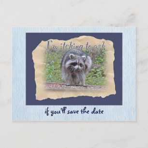 Itchin' & Scratchin' Raccoon Save the Date Announcement Postcard
