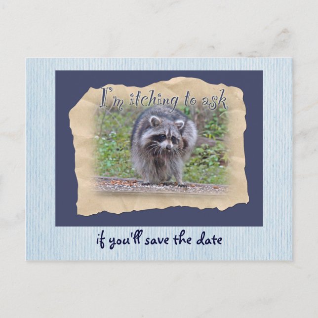 Itchin' & Scratchin' Raccoon Save the Date Announcement Postcard (Front)