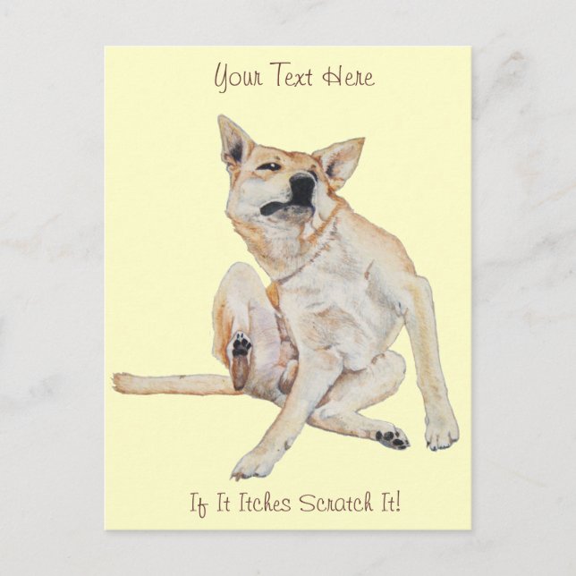 itchy dog scratching painting with funny slogan postcard (Front)