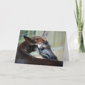 "Itchy Okapi" Greeting Card