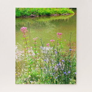 ITHACA NEW YORK NATURE RESERVE  JIGSAW PUZZLE