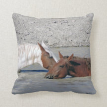 It's 5 O'Clock Somewhere