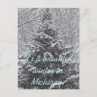 It's a beautiful winter in Michigan Postcard