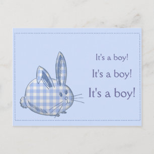 it's a boy! announcement postcard