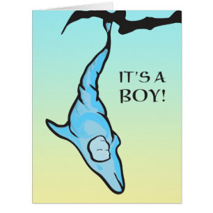 it's a boy! (dolphin cocoon)