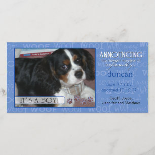 It's a Boy - Pet Photo Card