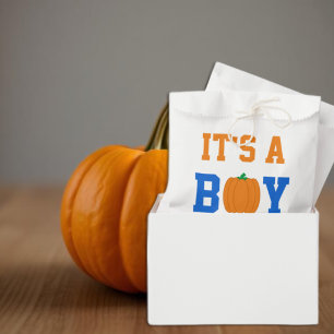It's A Boy Pumpkin Favour Bag