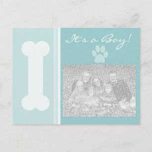 It's a Boy! Puppy Postcard