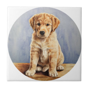 It's a ceramic tile. tile