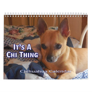 It's A Chi Thing Chihuahua Calendar