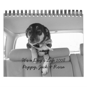 It's a Dog's Life 2008 Calendar