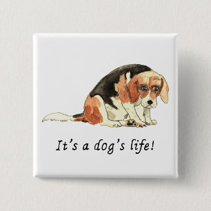 Its a dogs life Funny Cute Sad Beagle Art Humour 2 Inch Square Button